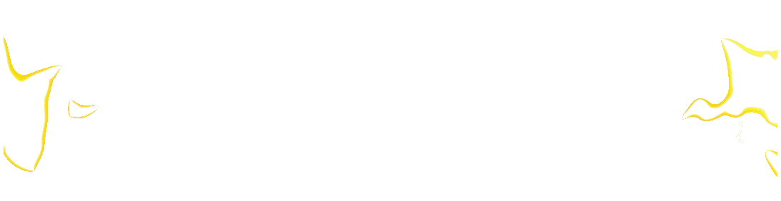 Logo APIZEUS777